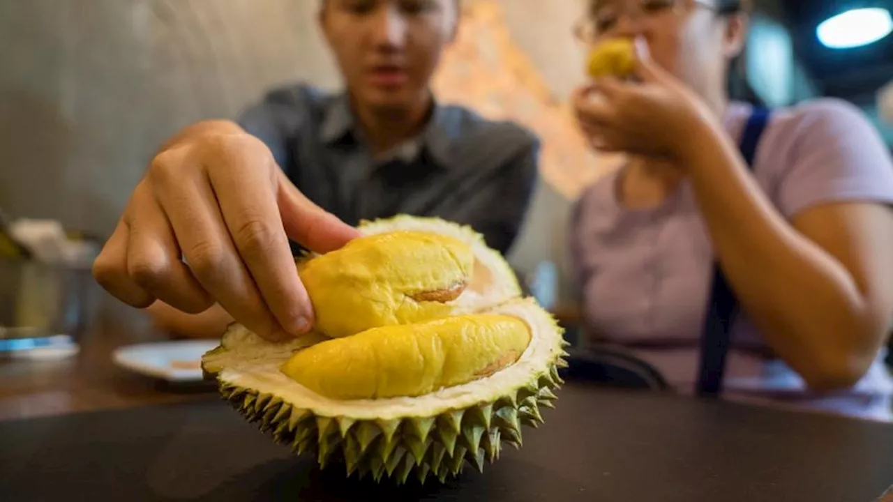 Apa Manfaat Durian? Ini 13 Khasiat Luar Biasa untuk Kesehatan