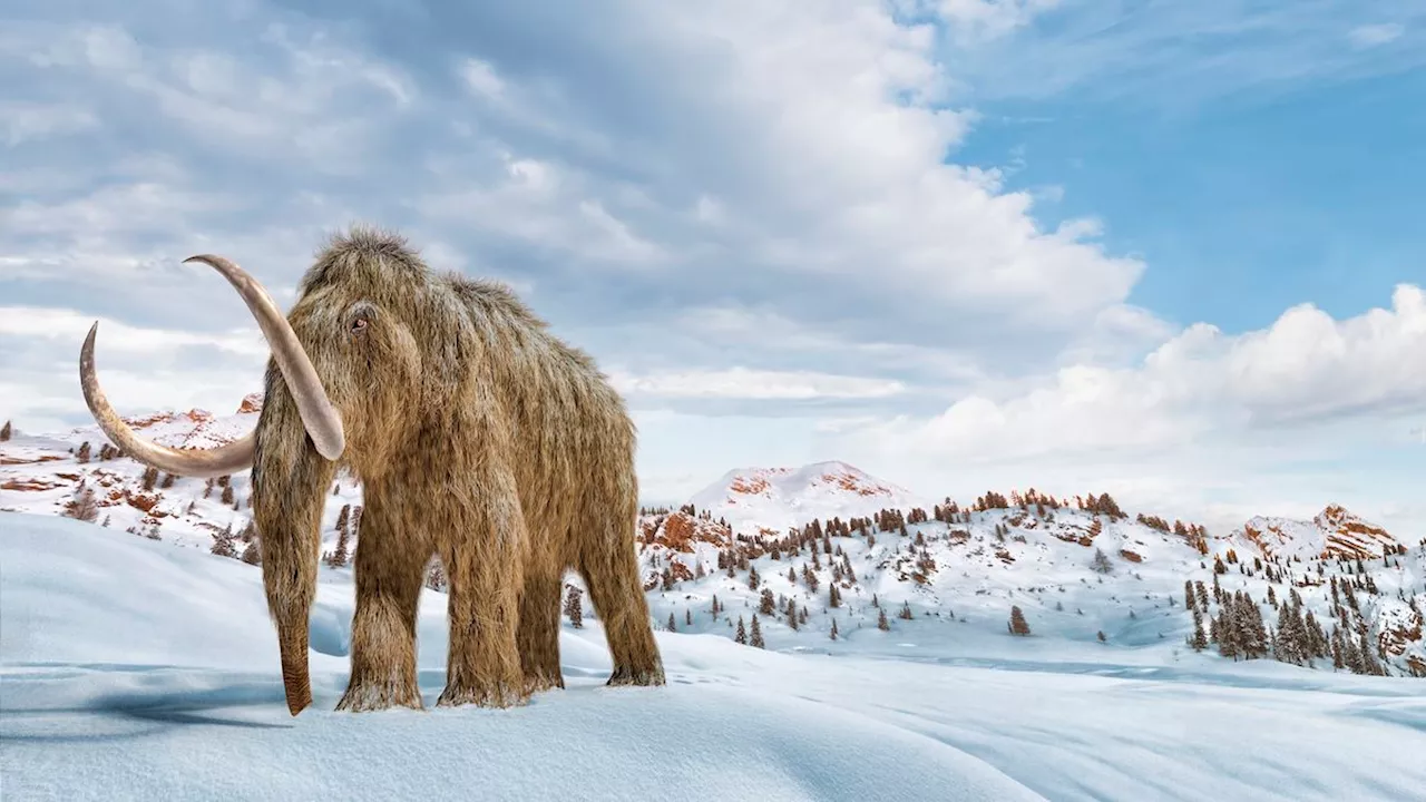 Earth's Last Ice Age: A Journey into a Frozen Past