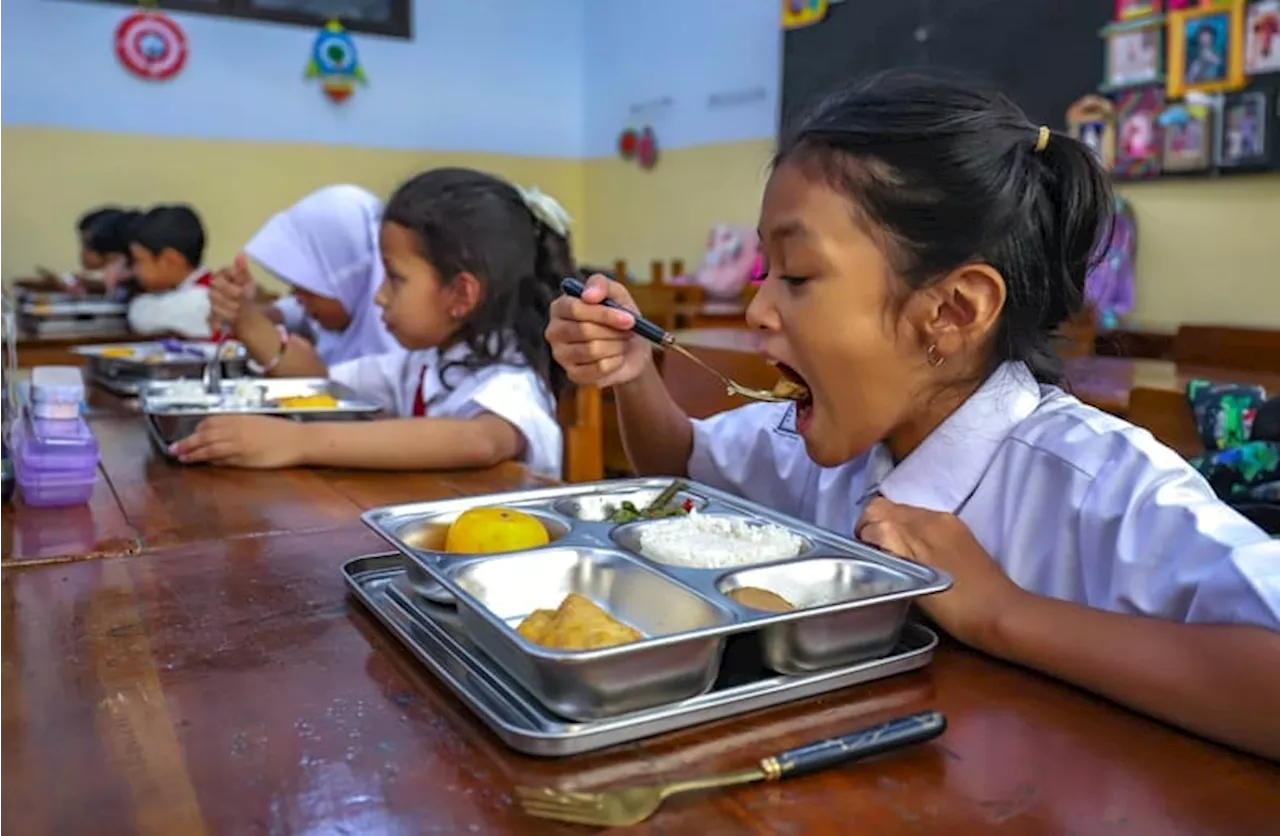 Kepala Badan Gizi Nasional Bantah akan Masukkan Serangga dalam Program Makan Bergizi Gratis