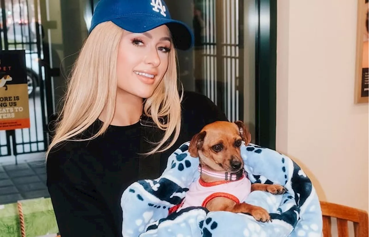 Paris Hilton Mengucapkan Selamat Tinggal kepada Anjing Peliharaan Zuzu