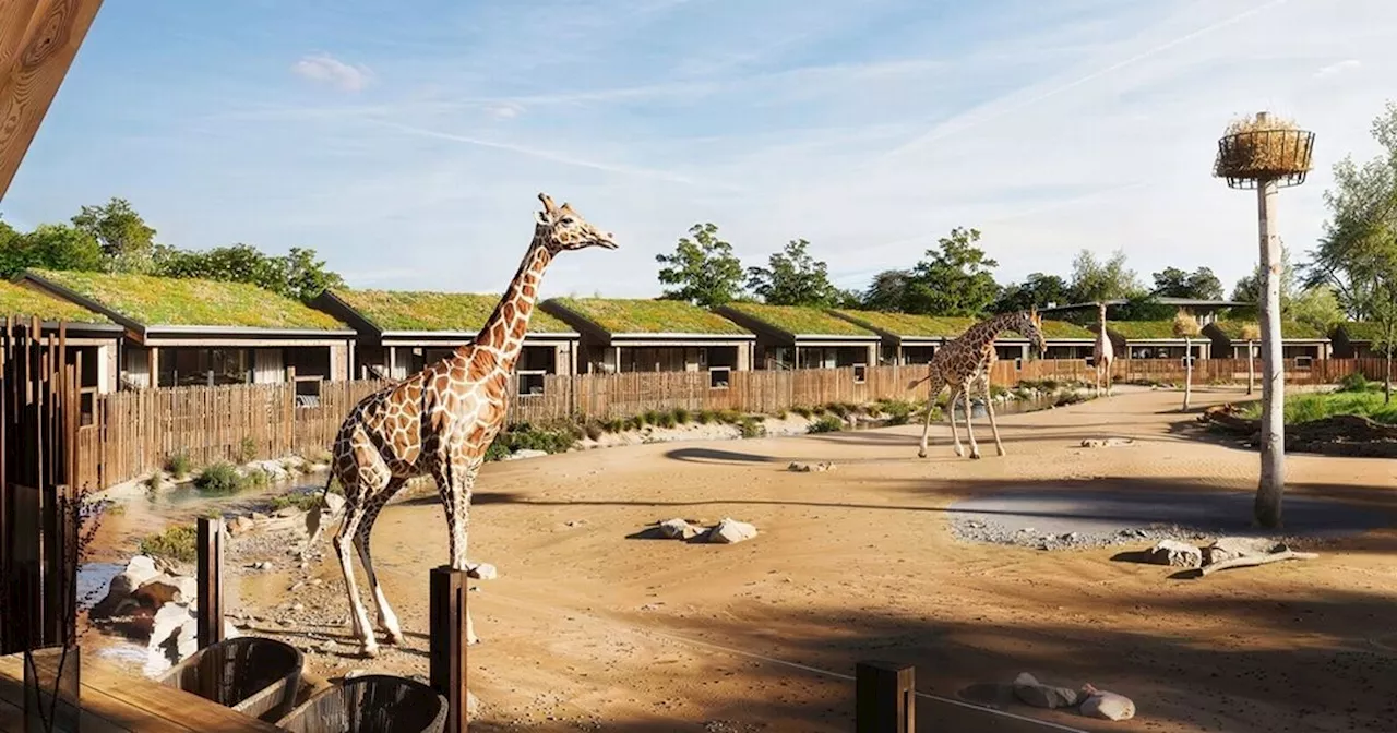 Chester Zoo Unveils First-Ever Overnight Safari Lodges