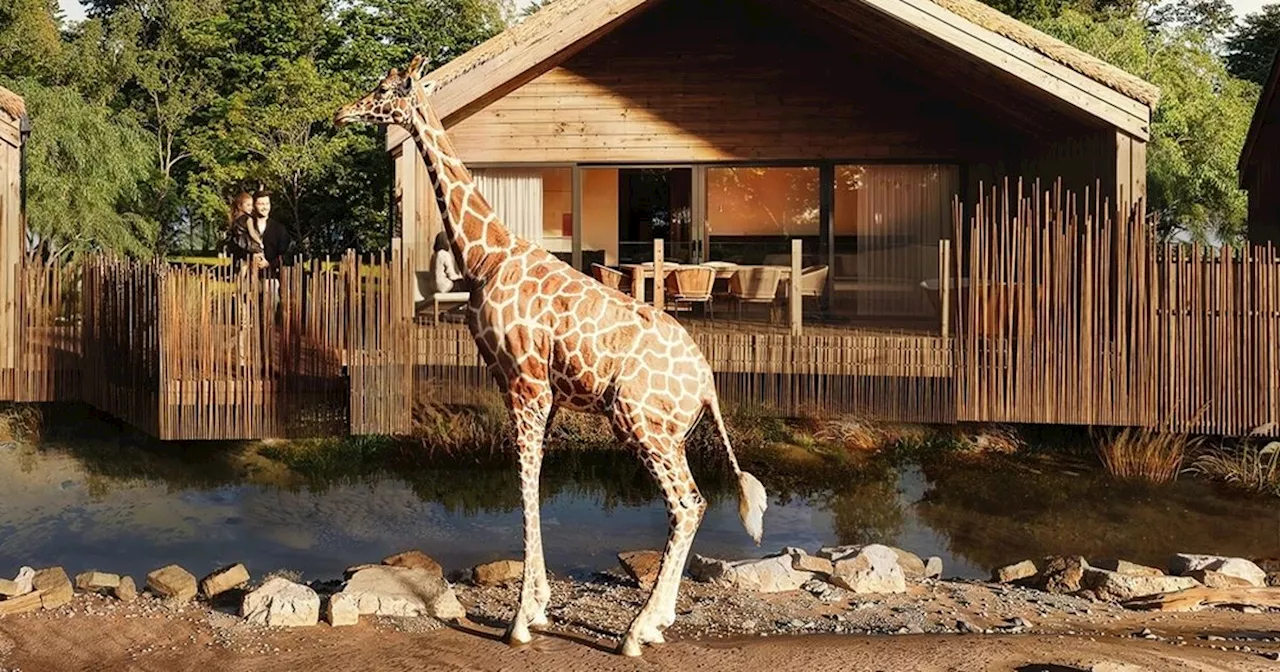 'You could go on real safari': Chester Zoo slammed over 'ridiculous' new prices