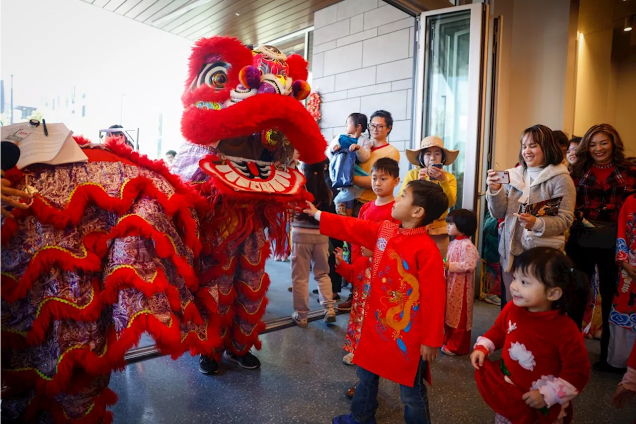 San Jose's Little Saigon Celebrates Tet with Vibrant Festivities and Delectable Cuisine