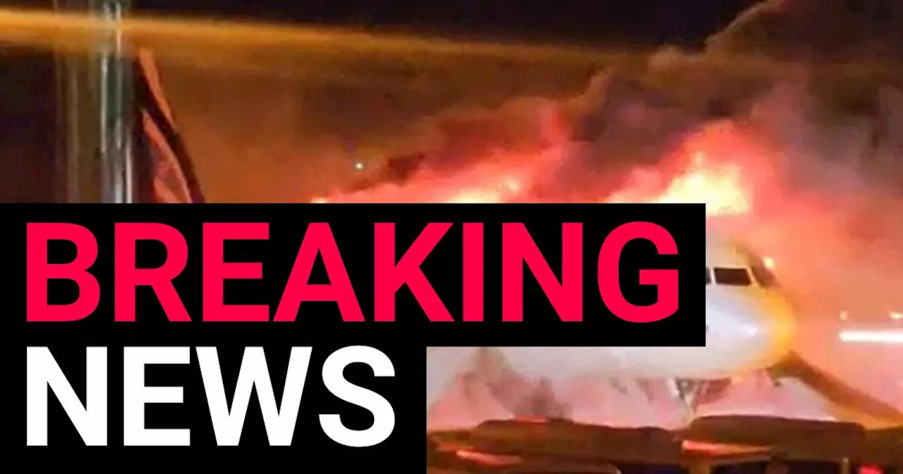 Plane carrying 176 people engulfed in flames at South Korean airport