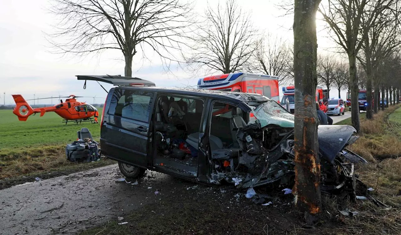 Frau bei Unfall schwerstverletzt: Fahrerin weicht Hasen aus