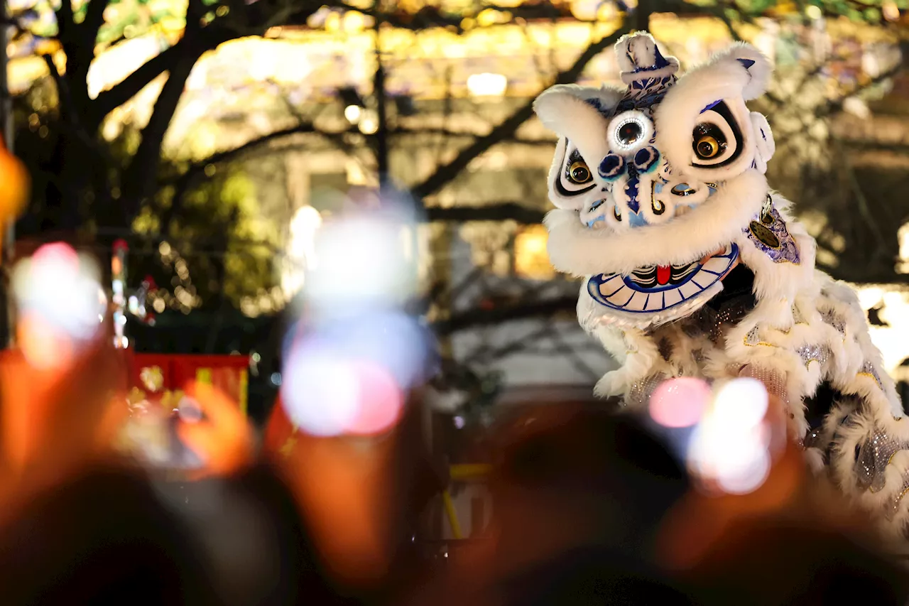 Lunar New Year: A Celebration of Spring & Fortune