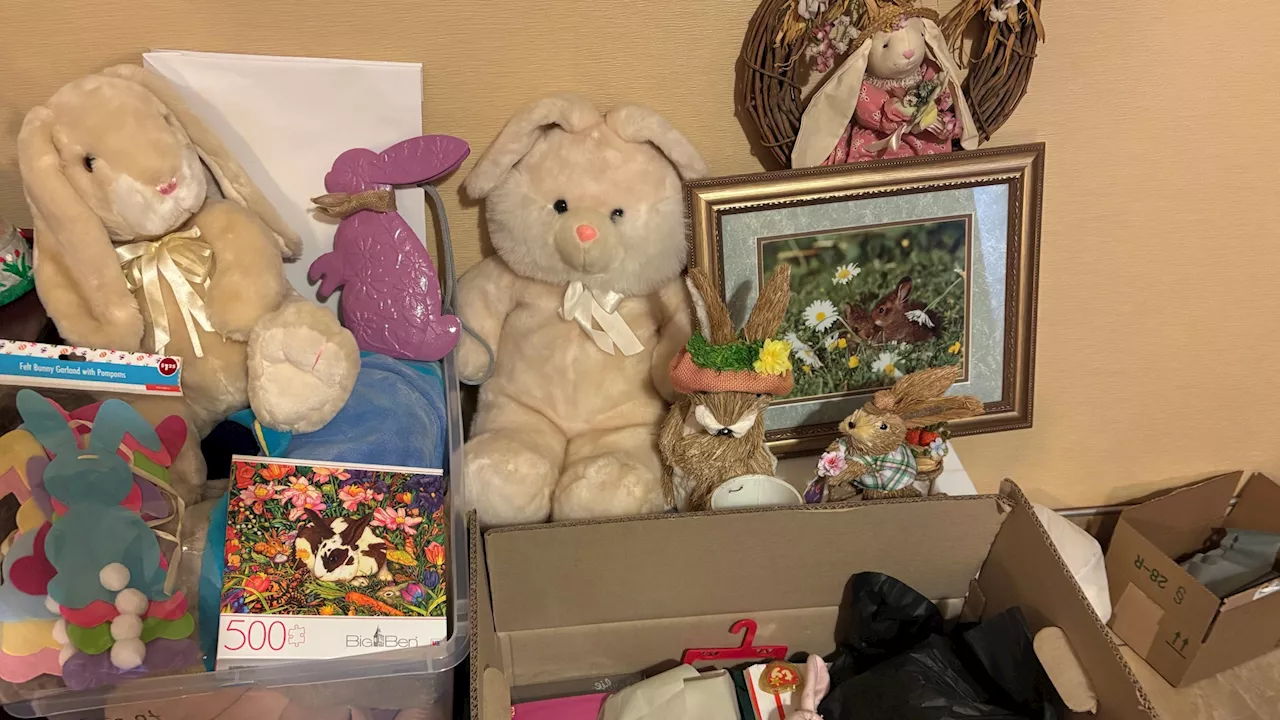 Bunny Museum Rises from the Ashes with Community Support