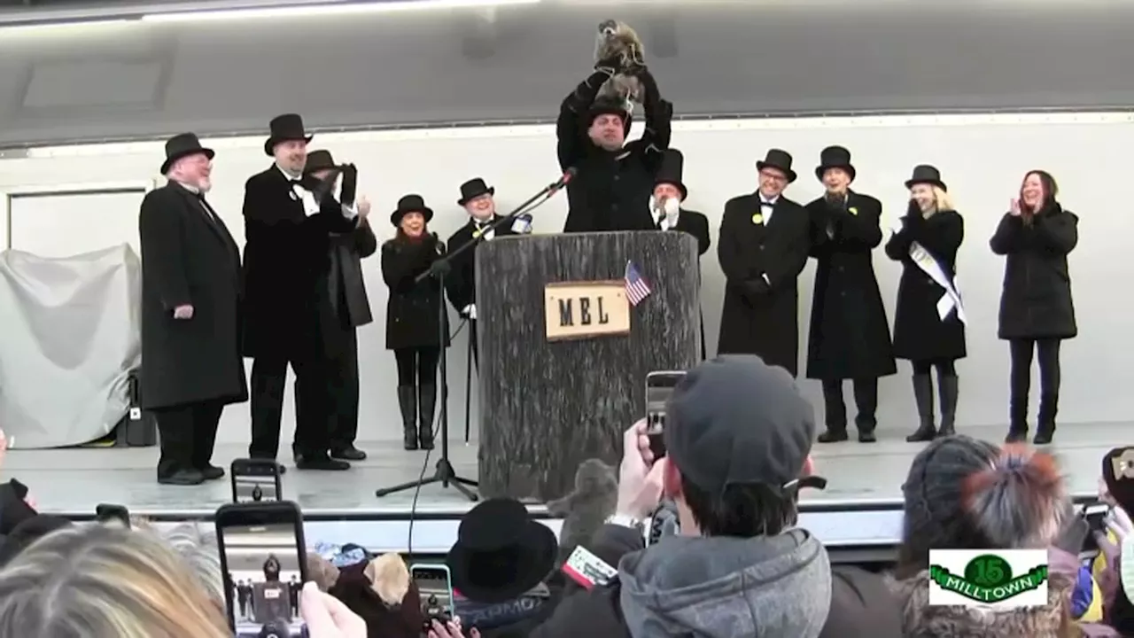 New Jersey Borough Cancels Groundhog Day for Fifth Year Due to State Law