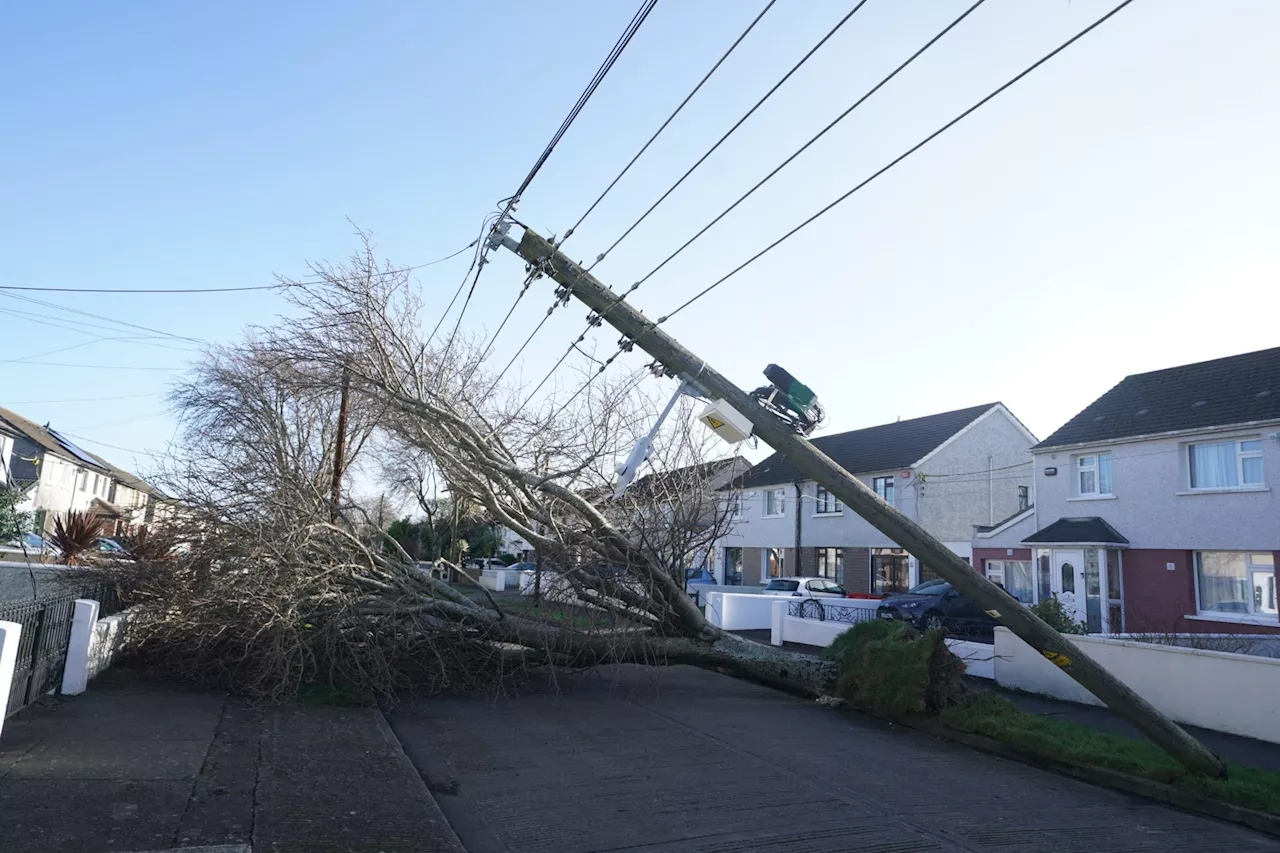 Storm Éowyn Aftermath: How to Repair Your Damaged Home