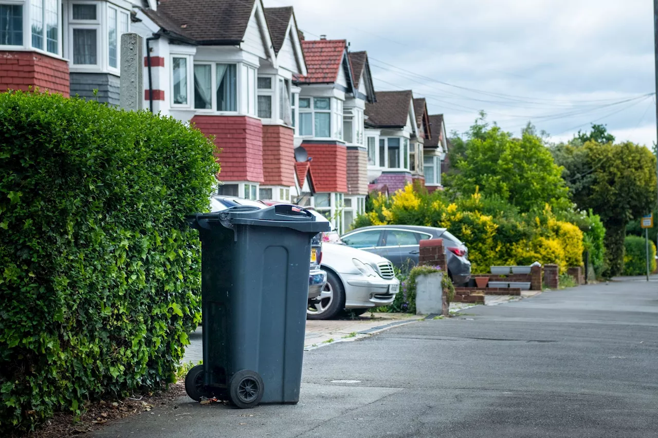 'They’ll all be at it' - Other bin companies expected to increase fees