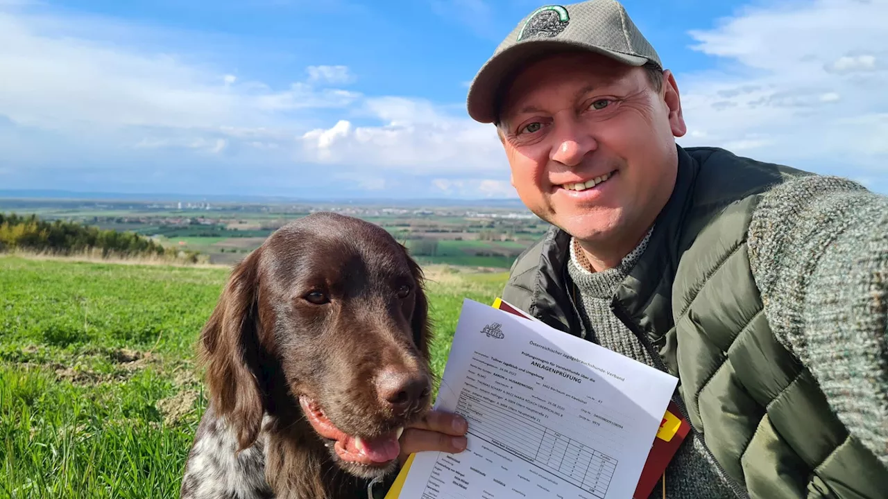 Traktor stand in Flammen: Hund von Nationalrat Höfinger schlug Alarm