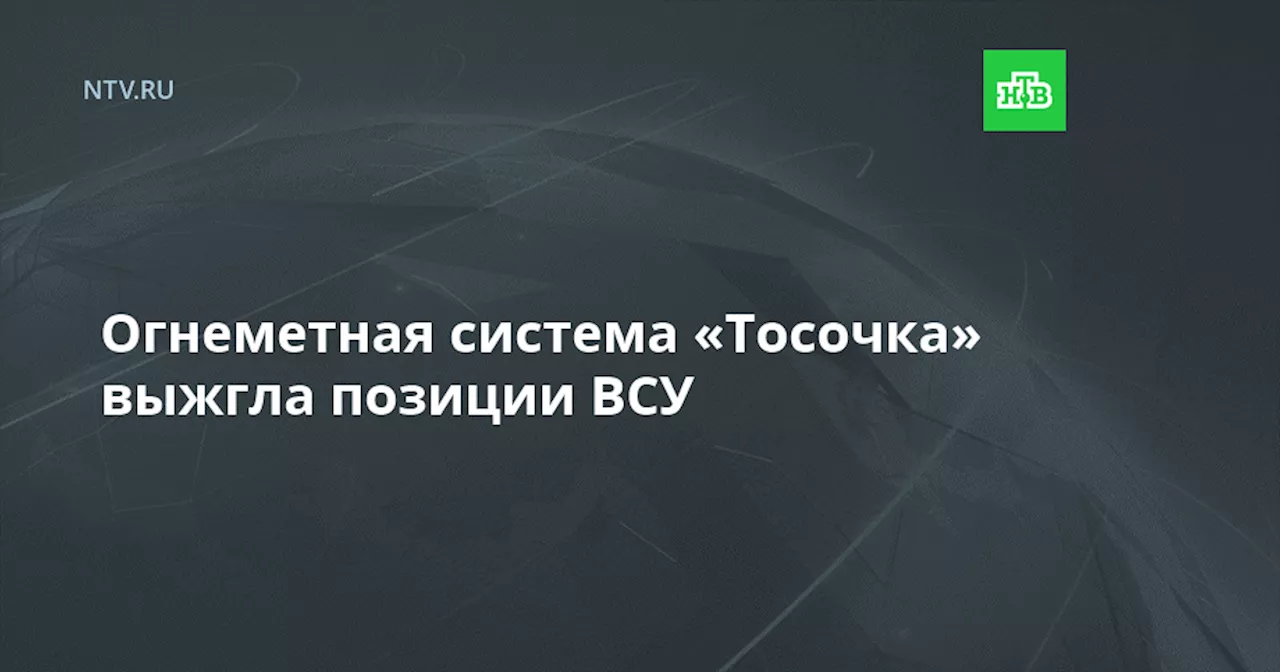 Огнеметная система «Тосочка» выжгла позиции ВСУ