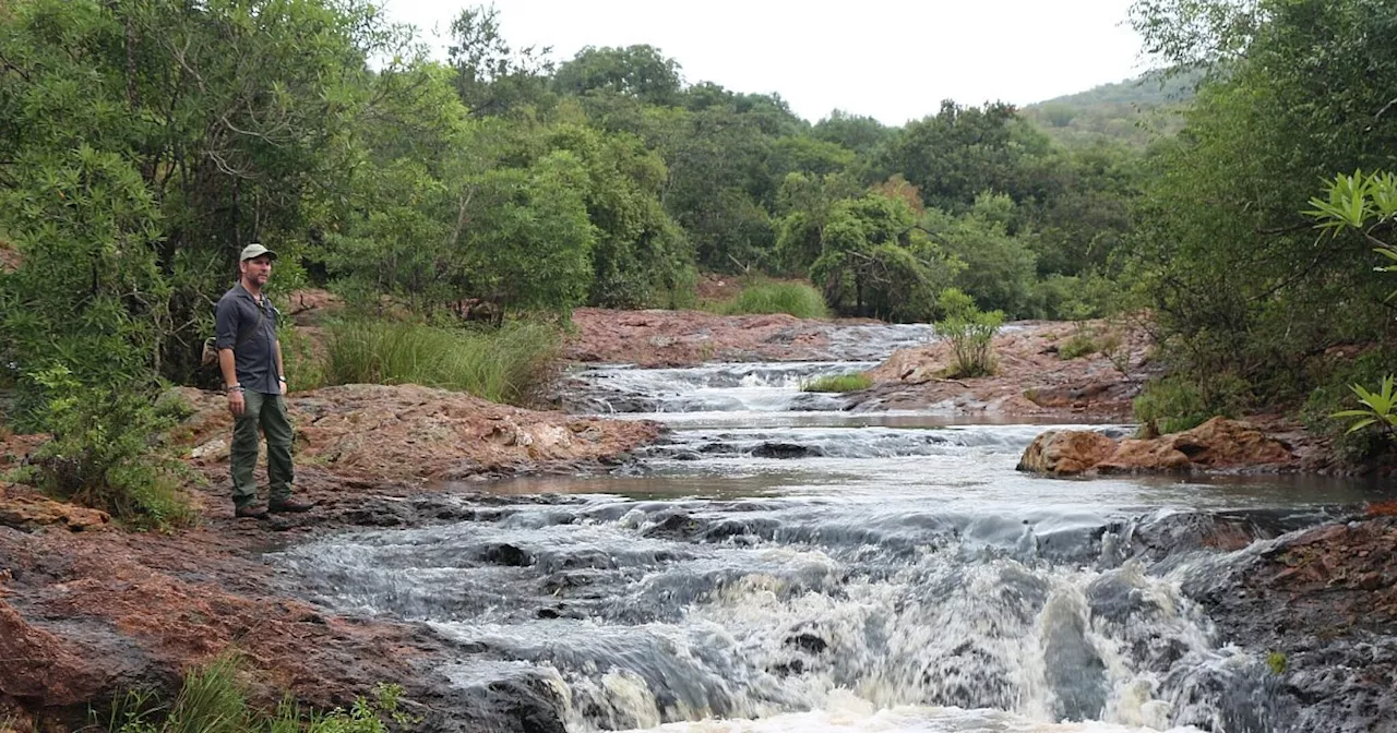 Safari mit Strand-Option: Eswatini und seine Nachbarn