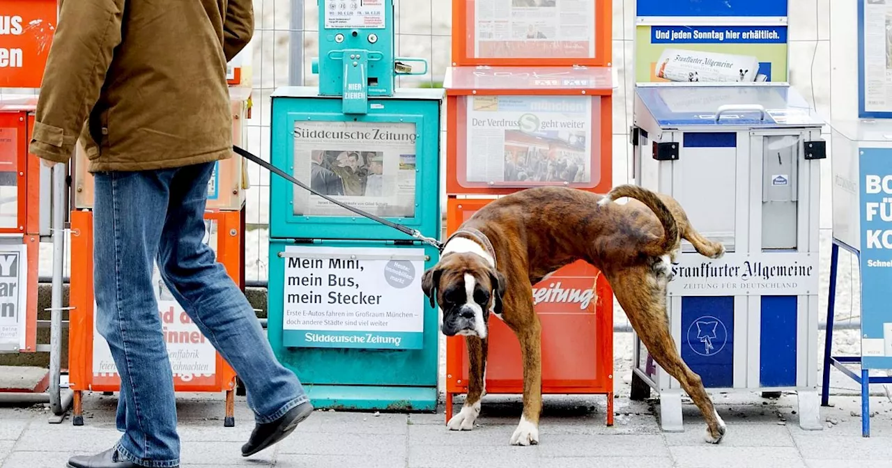 Versicherung für Hunde - muss das sein?