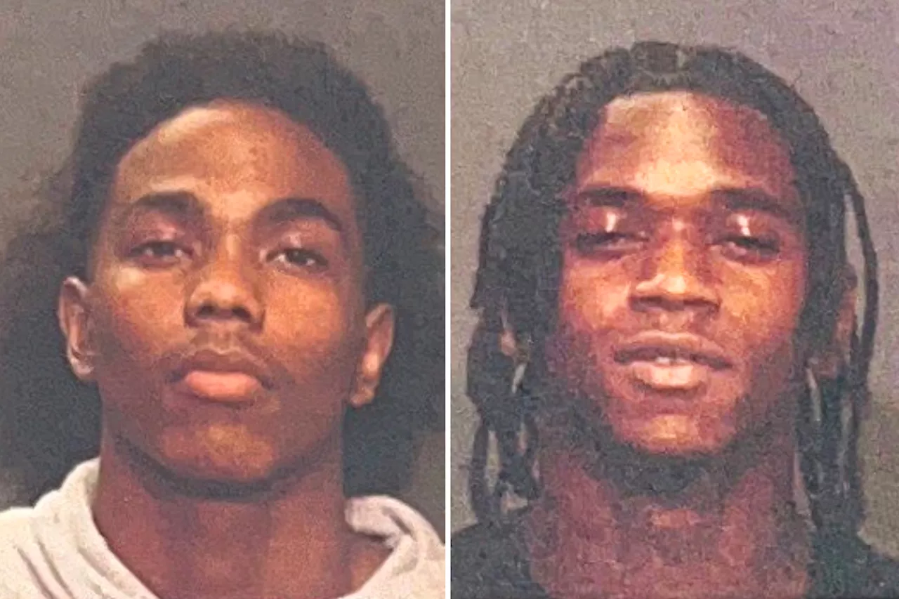 Thugs Freed by 'Diversion Program' Charged with Murder