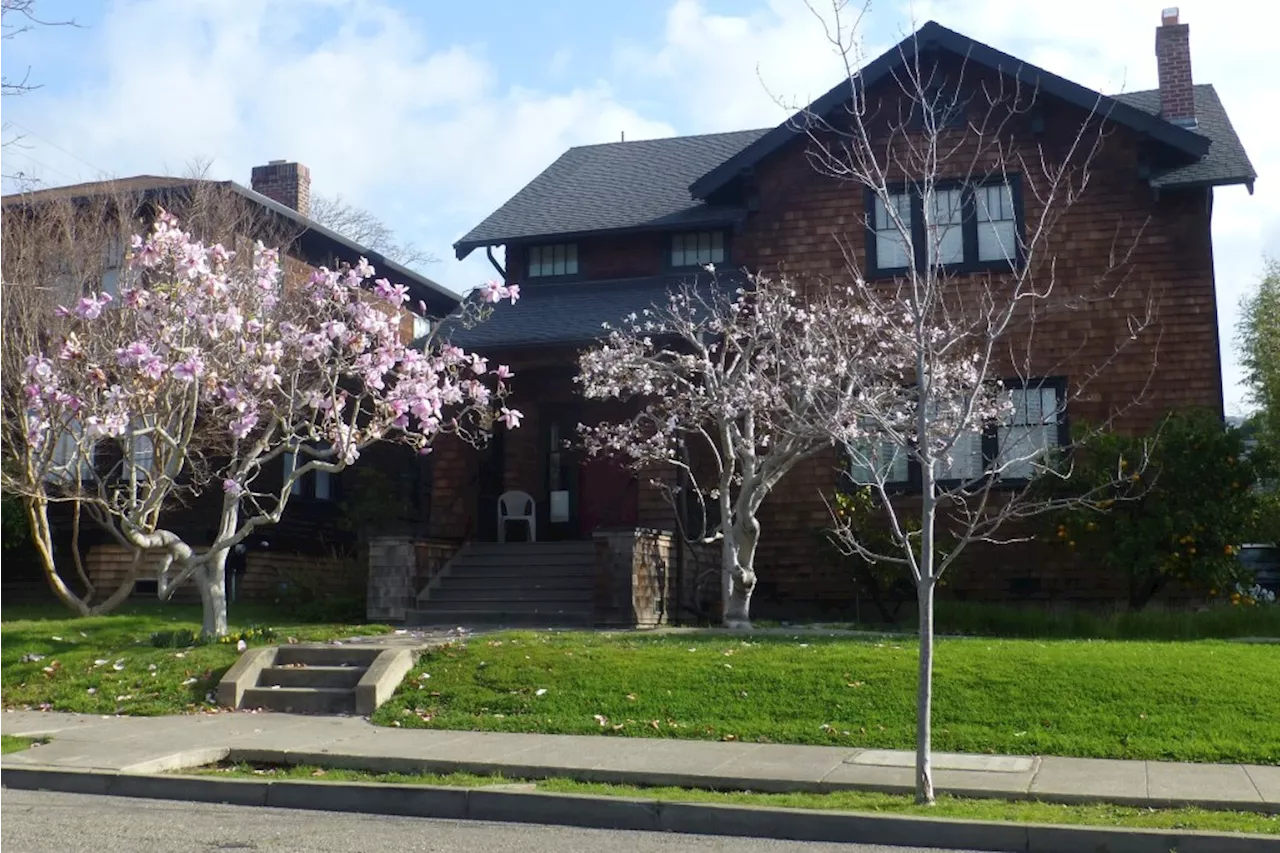 Berkeley a Century Ago: Plum Blossoms, Traffic Jams, and Radio's Promise