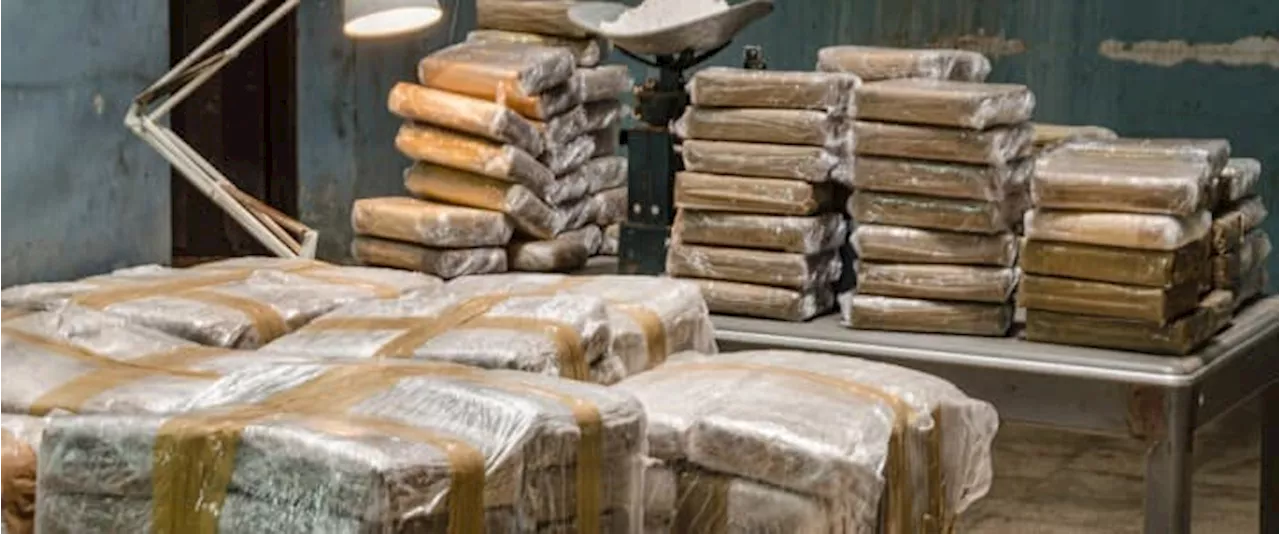 Colombia's Cocaine Production Hits New Record High for the 10th Year in a Row