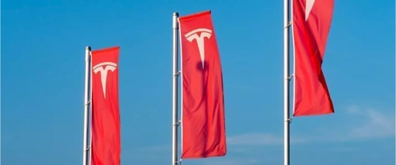 Tesla Sues EU Over China EV Tariffs, Musk's AfD Support Adds Fuel to Fire