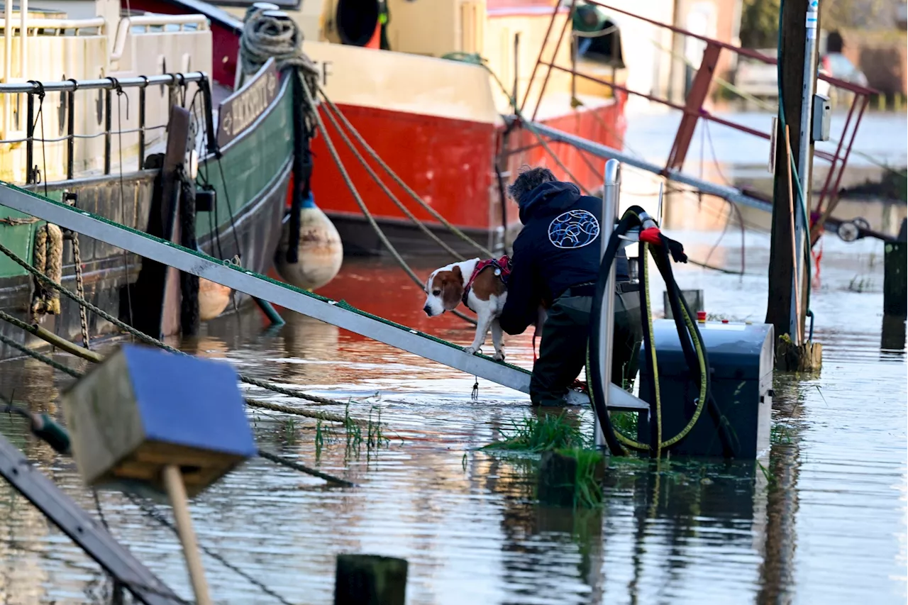 Tempête Herminia : à Rennes, la solidarité s'organise pour venir en aide aux sinistrés