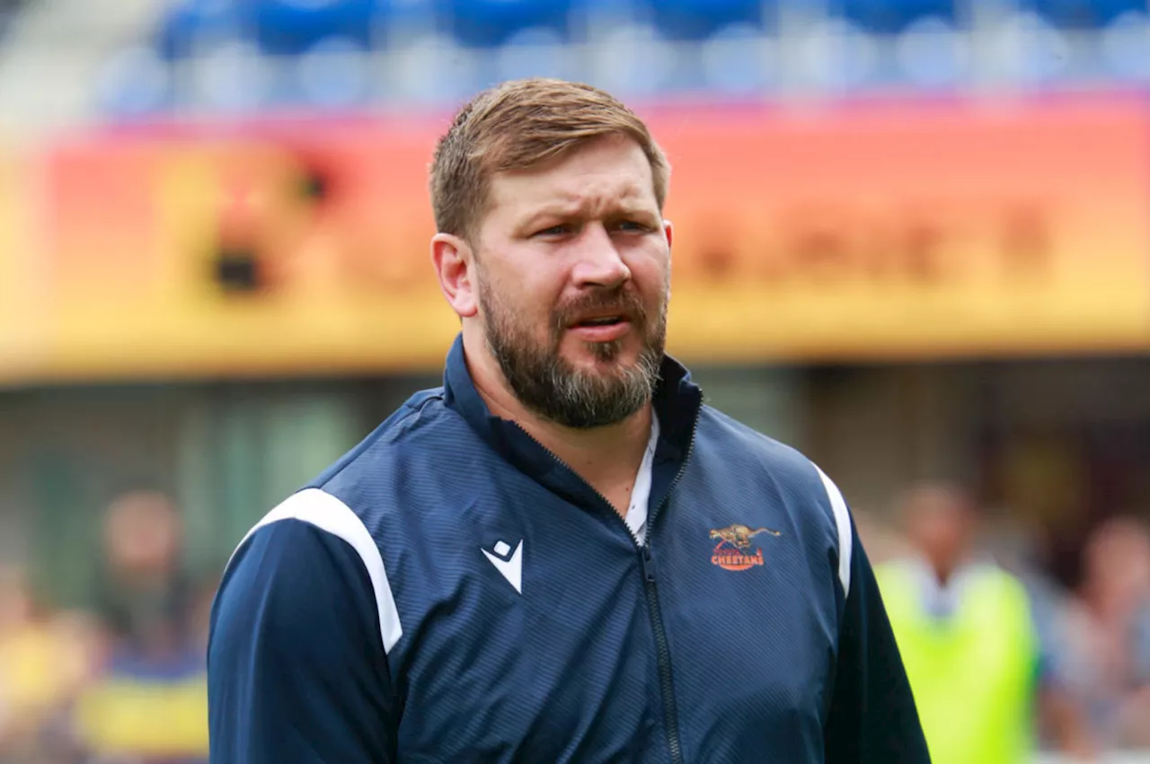 Frans Steyn to coach Cheetahs