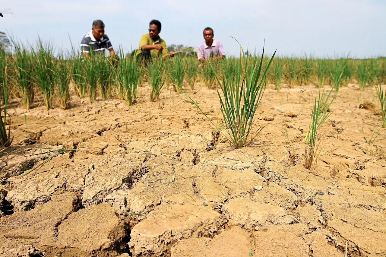 How Malaysia can tackle the growing threat of climate change-affected El Niño and La Niña