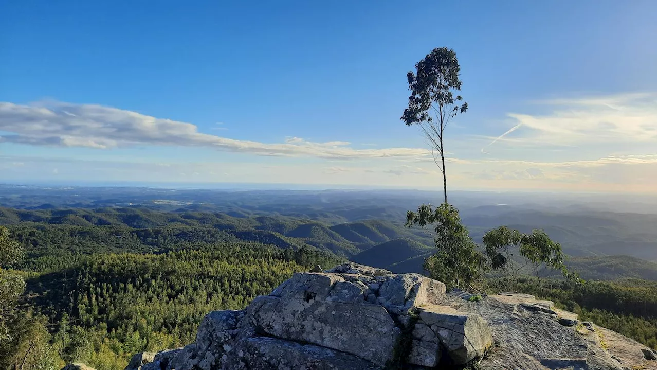 Wandern in der Algarve: Ein Festival der Bewegung und Natur