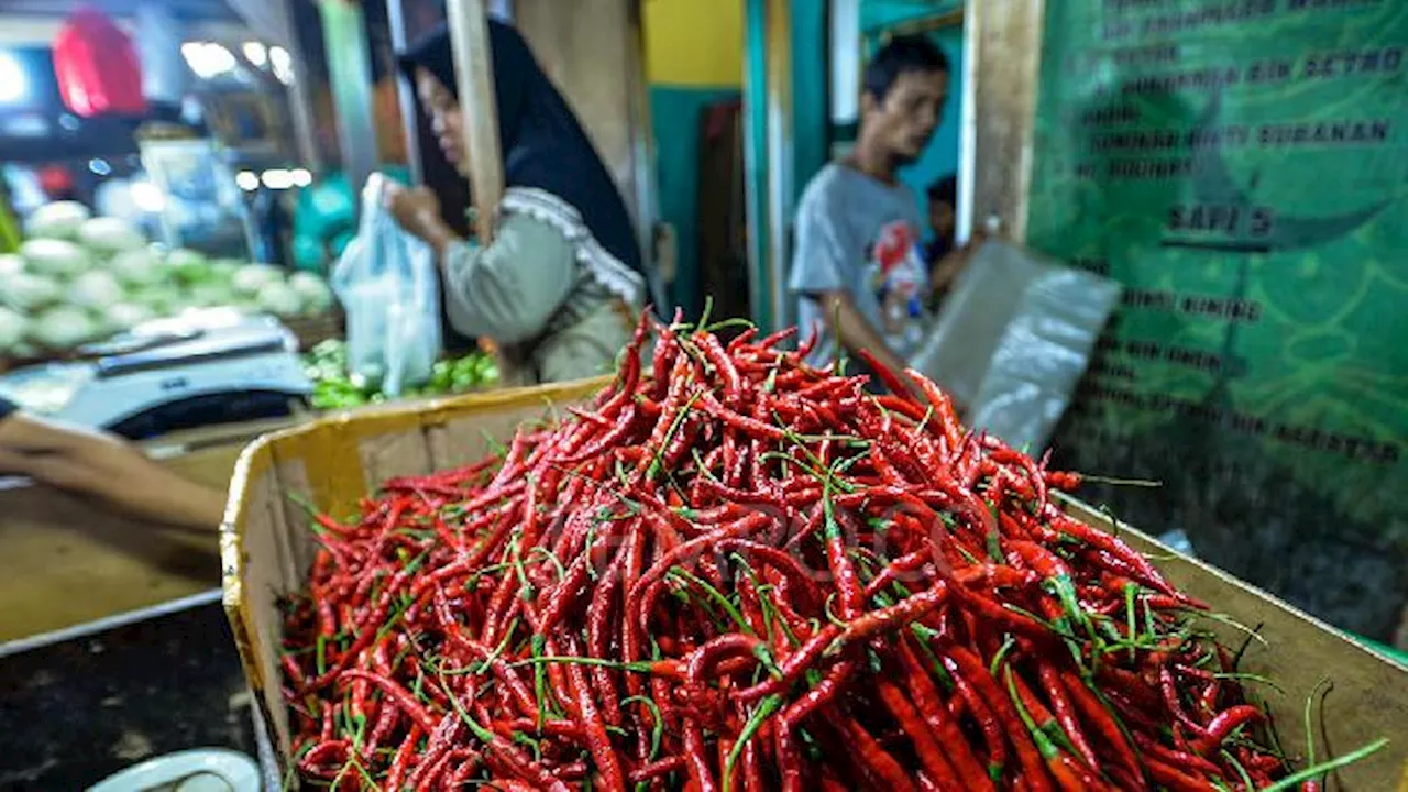 Harga Cabai Melonjak di Pasaran, Dipengaruhi Faktor Cuaca