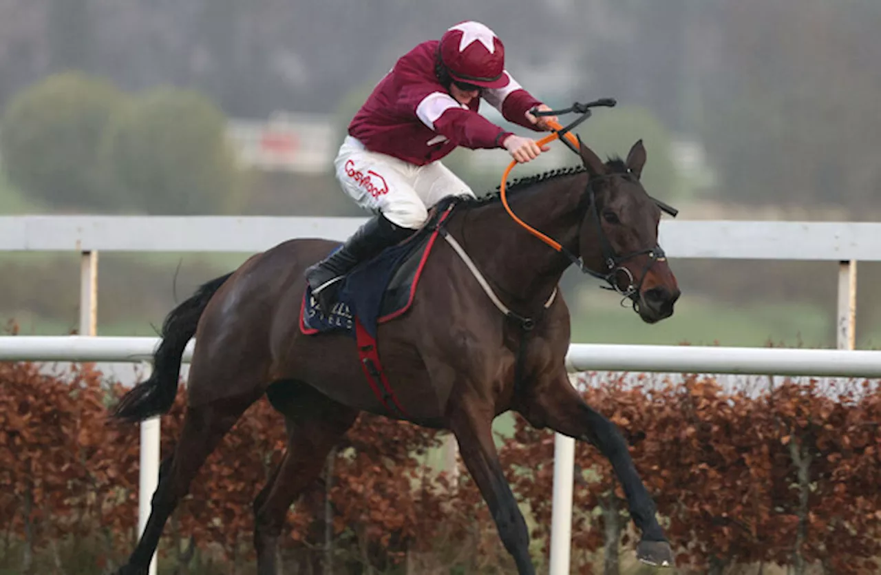 Gordon Elliott star to skip mouthwatering showdown at Dublin Racing Festival