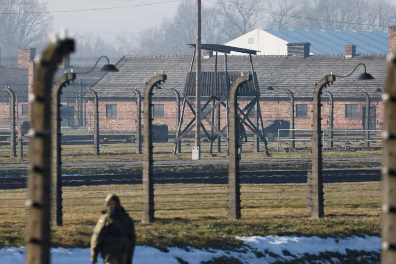 Survivors Relive Auschwitz Horror as World Marks 80th Anniversary of Liberation