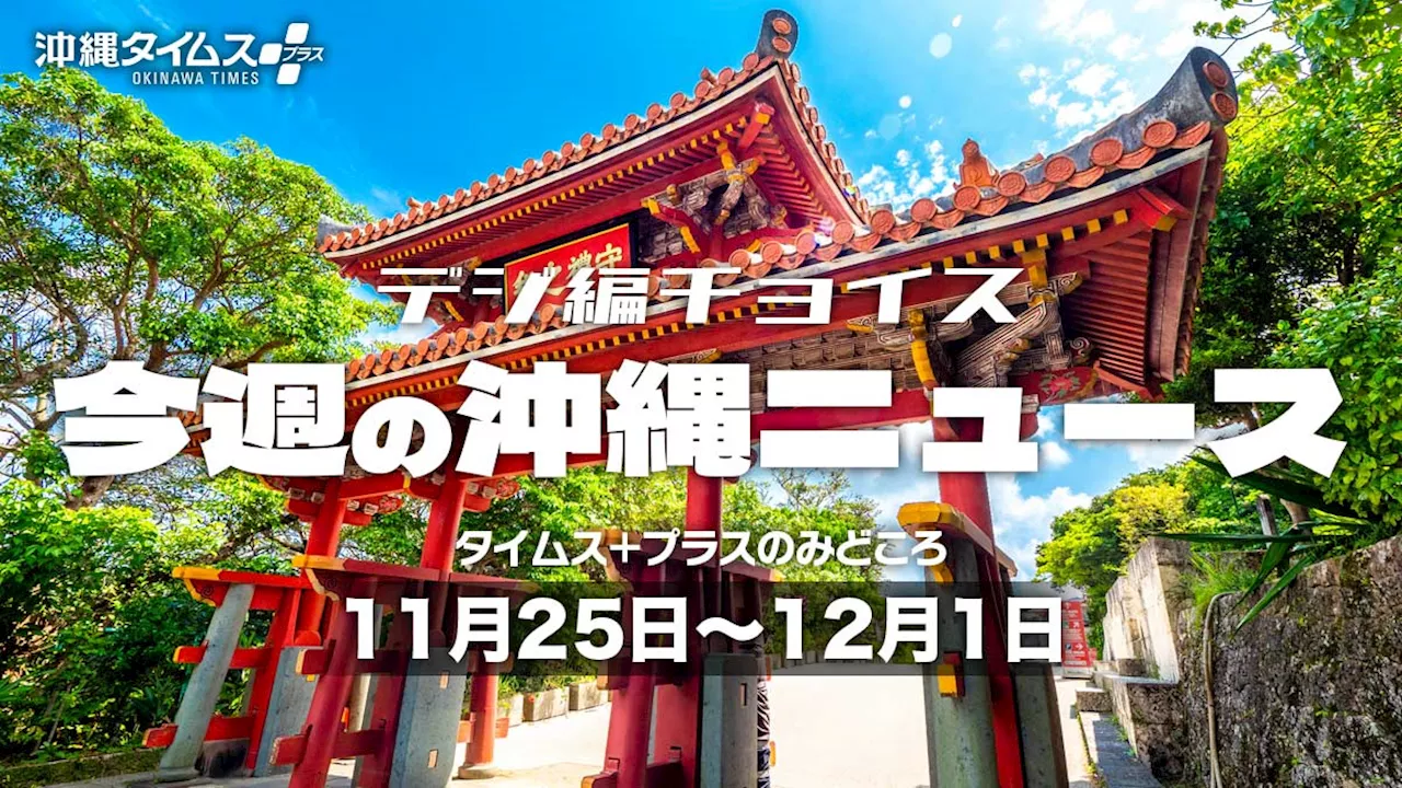 新テーマパーク「ジャングリア」会見で飛び出した「日本で最も貧しい沖縄の北部」発言 モヤモヤの正体を考えた【11月25日～12月1日 タイムス＋プラスのみどころ】