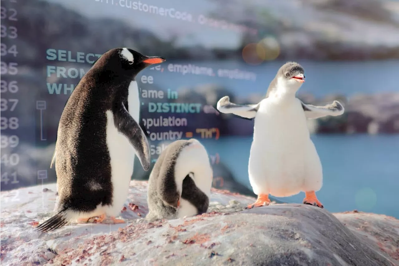 Microsoft Embraces Open Source with Document Database Built on PostgreSQL