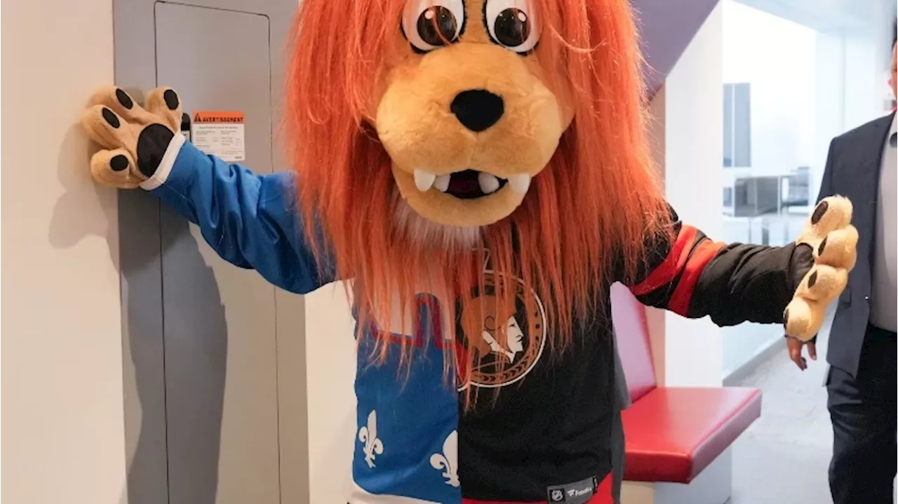 Senators Mascot Sparks Uproar After Wearing Split Jersey With Quebec Nordiques Colours