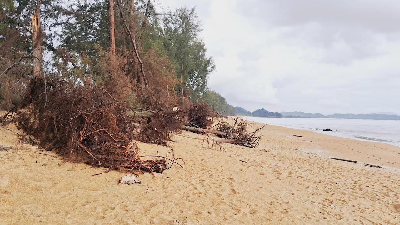 Erosion Threatens Kemaman Beach and Homes