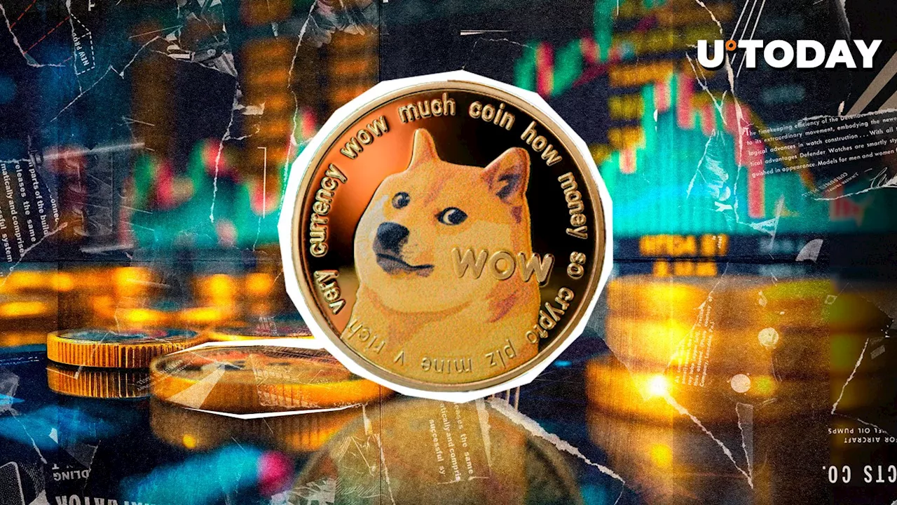 Crypto Market Sees Mixed Liquidations as DOGE Rebounds