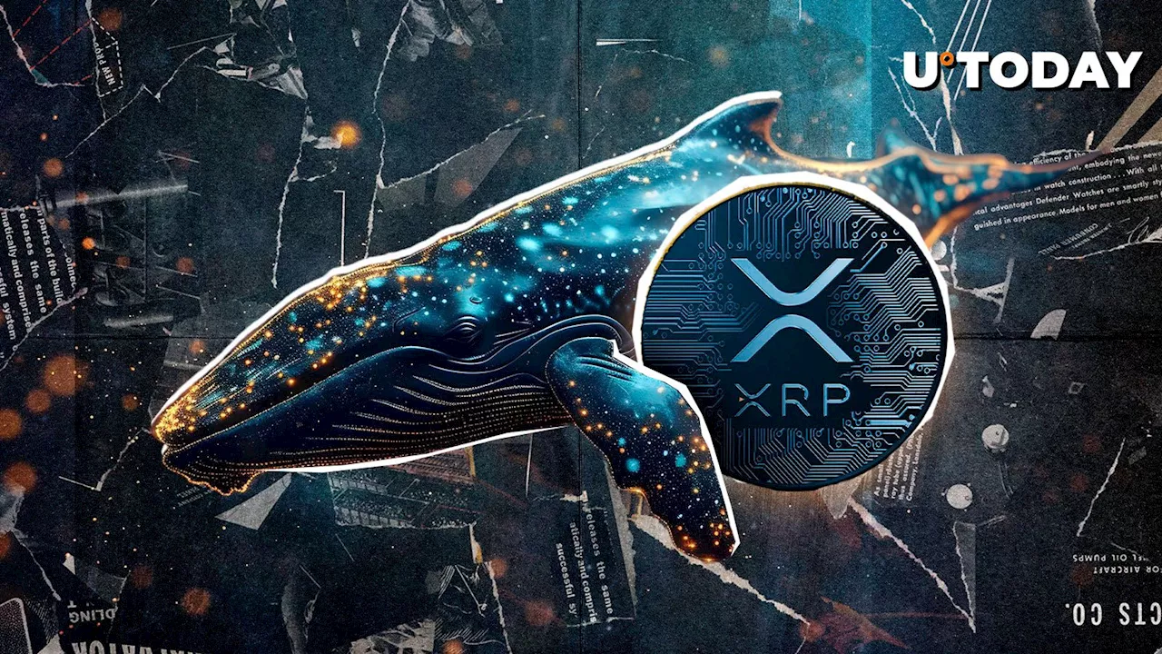 XRP Rebounds Amidst Market Turmoil: Whale Activity Points to Potential Upside