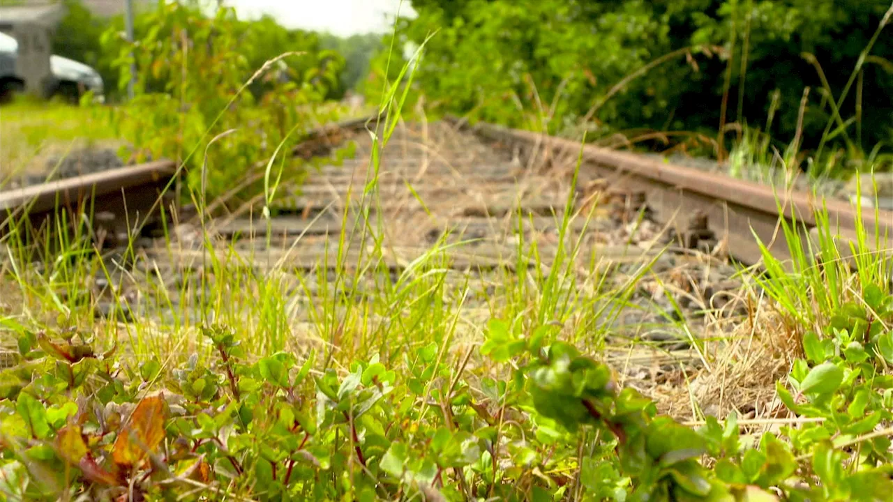 Machbarkeitsstudie: Bahnstrecke durch Kreis Gütersloh hat Potenzial