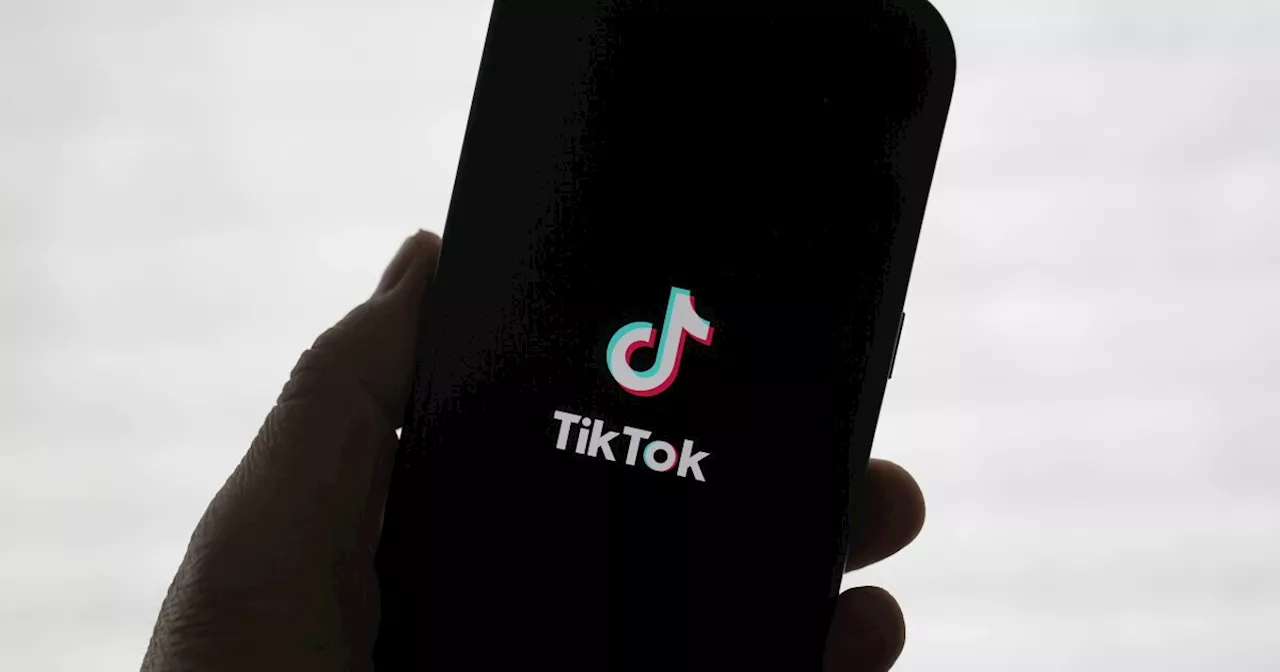 Perplexity Proposes US Government Stake in TikTok Merger