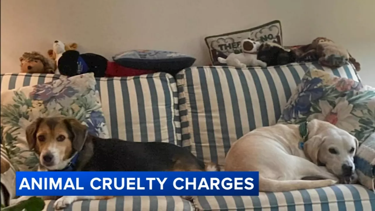 Man Charged With Brutal Murder of His Two Dogs