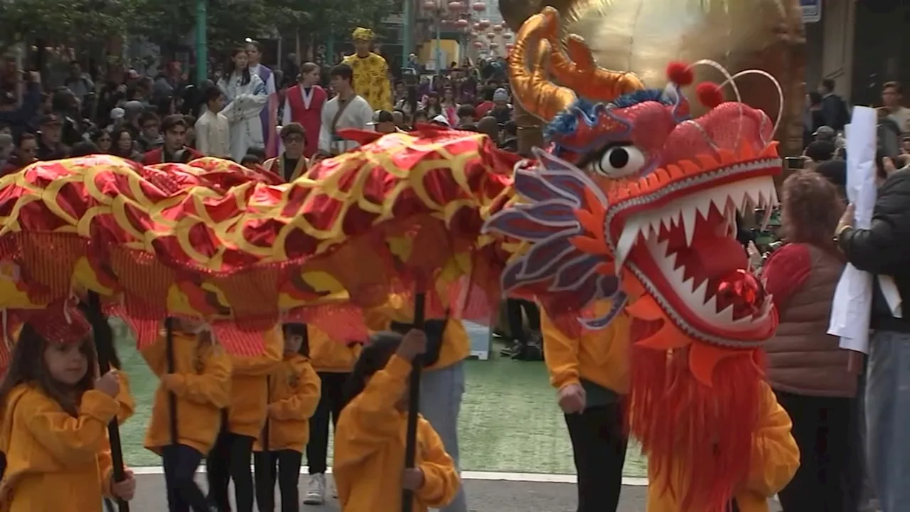 San Francisco Embraces the Year of the Snake: Lunar New Year Festivities