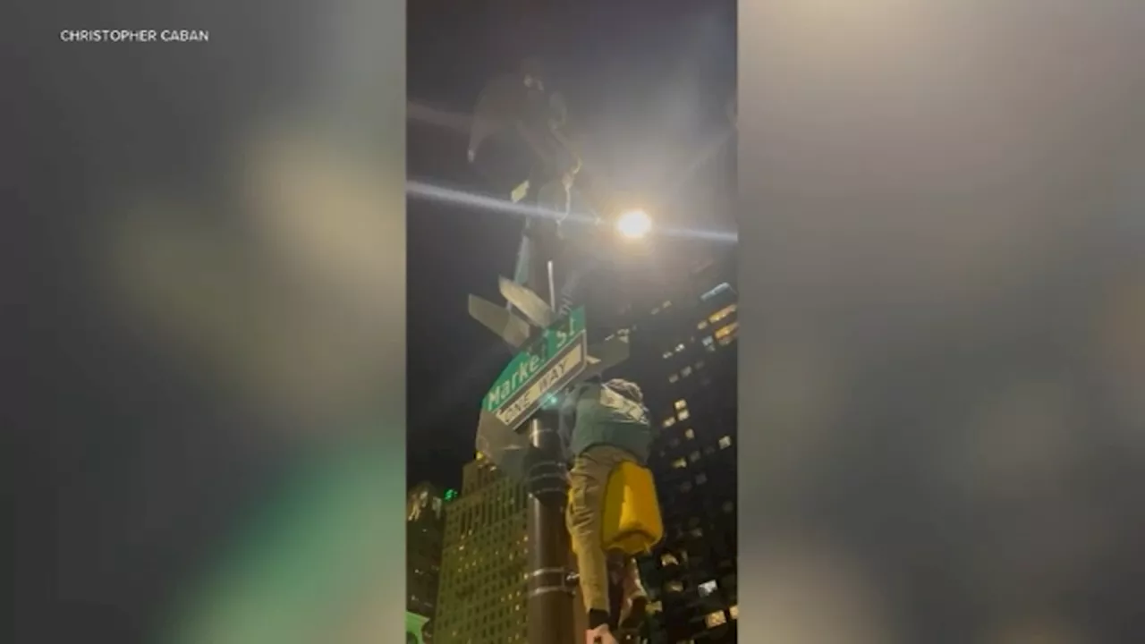 Temple University Student Dies After Falling From Street Pole During Celebration