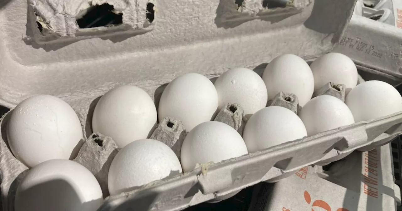 Egg prices may reach record-high this year despite Trump's promises to lower food costs