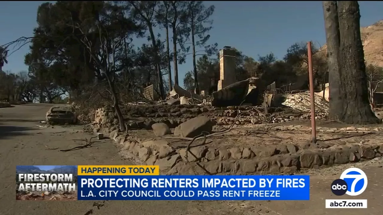 L.A. City Council Proposes One-Year Rent Freeze to Protect Fire Survivors from Evictions