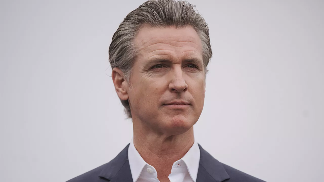 LA Rises: Newsom Launches Wildfire Recovery Initiative with $100 Million Commitment