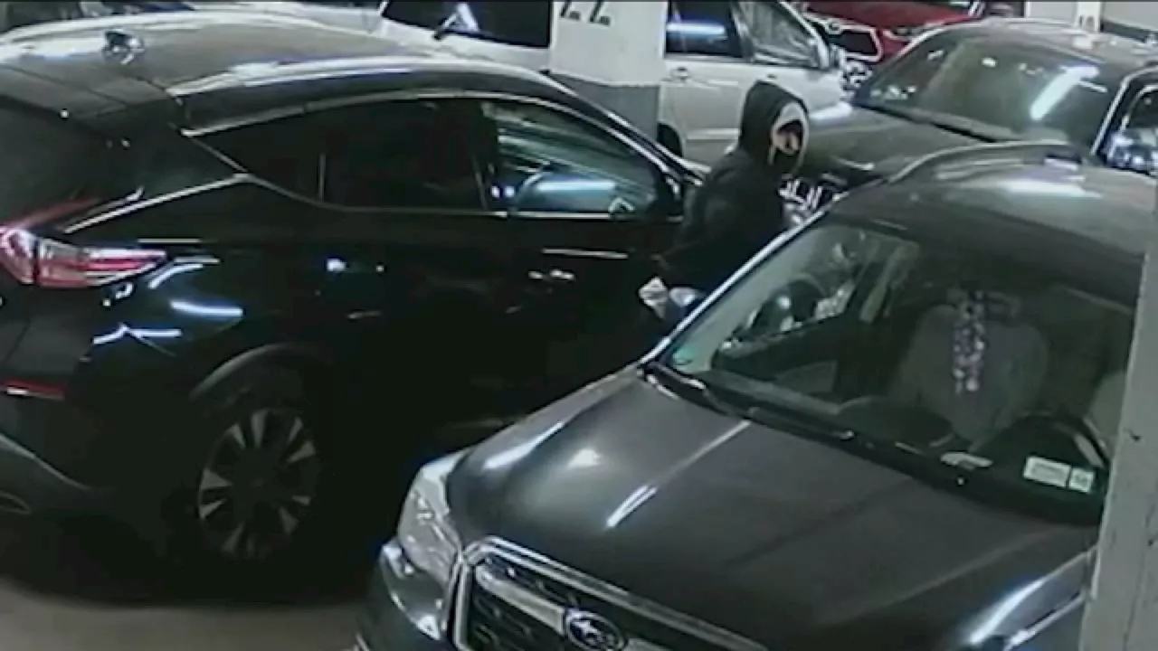 Bronx Parking Garage Ransacked: Suspect Smashes Over 20 Car Windows