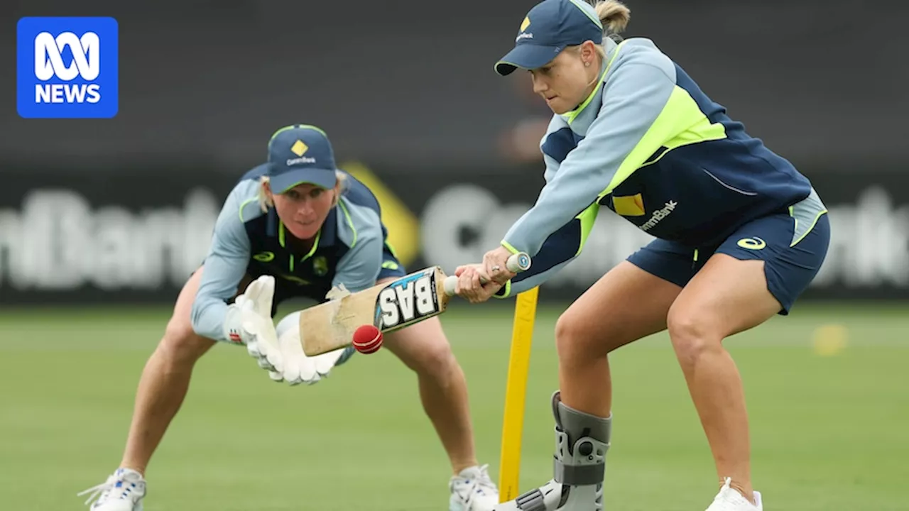 Alyssa Healy in doubt ahead of historic Ashes Test between Australia and England at MCG