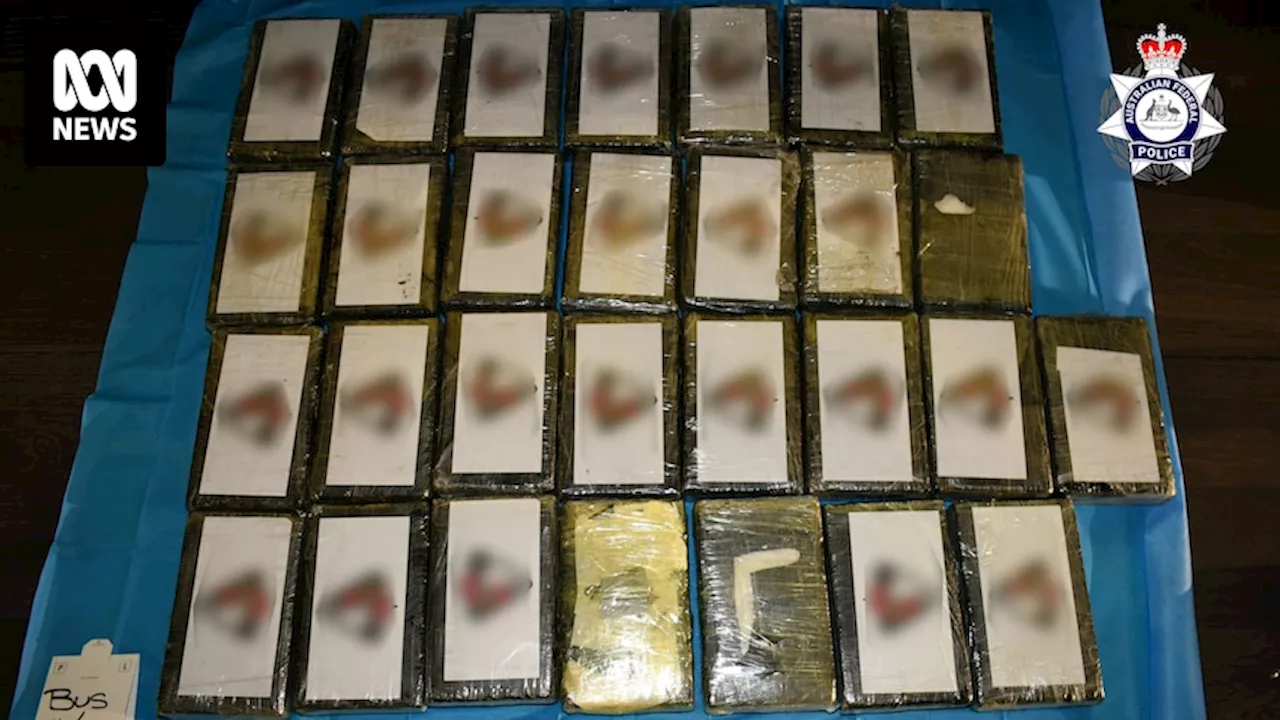 Two Young Men Sentenced for Attempted Cocaine Importation