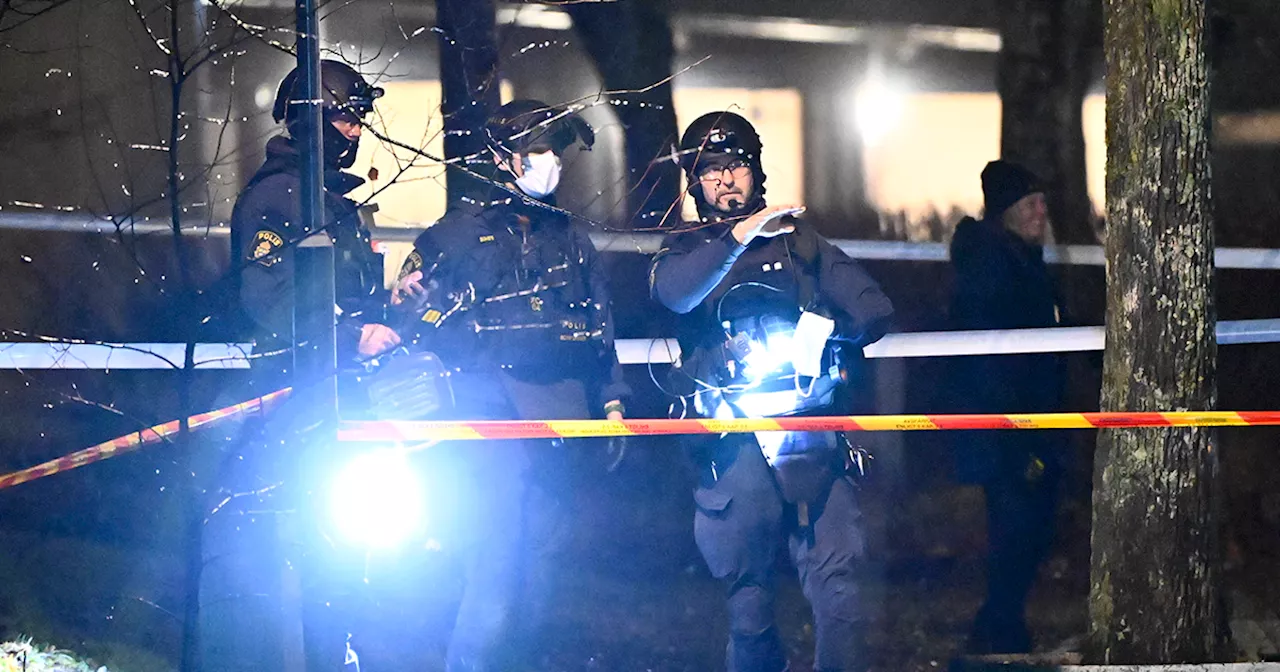 Polischefen om våldsvågen: En annan typ av våld