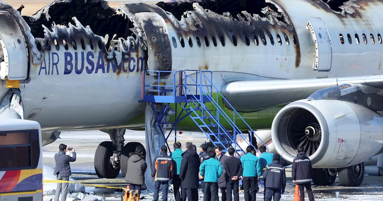 All 176 passengers and crew escape after Airbus jet catches fire at South Korean airport