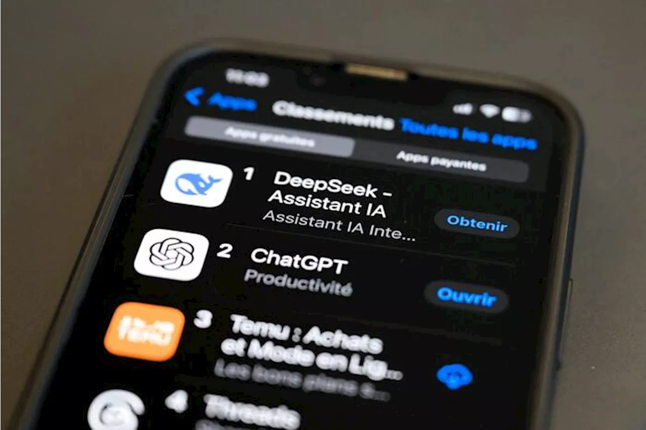 DeepSeek Sparita dai Negozi Digitali in Italia