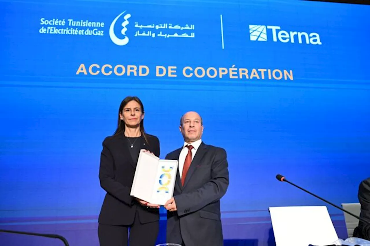 Terna Innovation Zone apre le sue porte in Tunisia